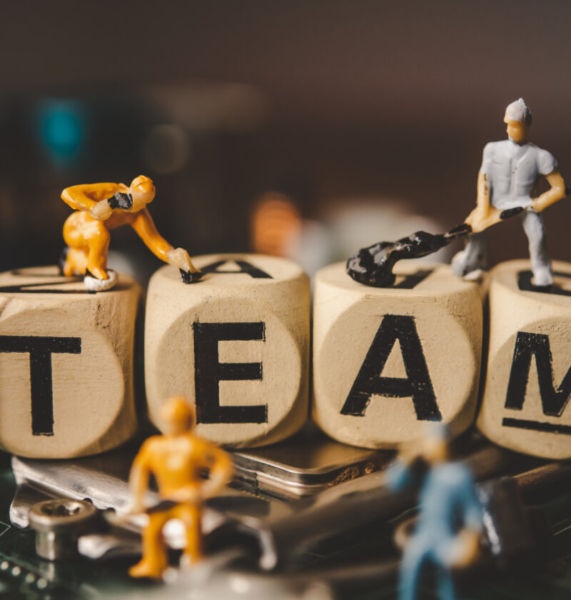 Budowanie zespołów w dynamicznie rozwijających się firmach 4 Budowanie zespołów w dynamicznie rozwijających się firmach