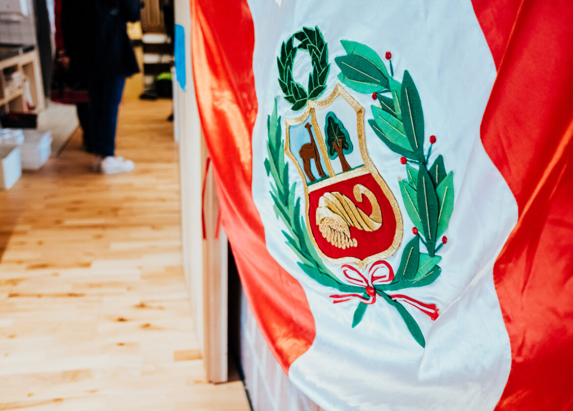 Symbolika sztandarów: co oznaczają kolory, wzory i elementy? 1 symbole na sztandarach